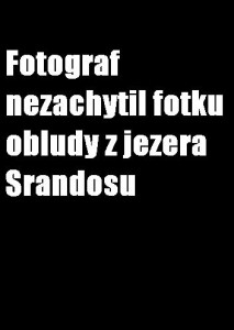 Obrazek